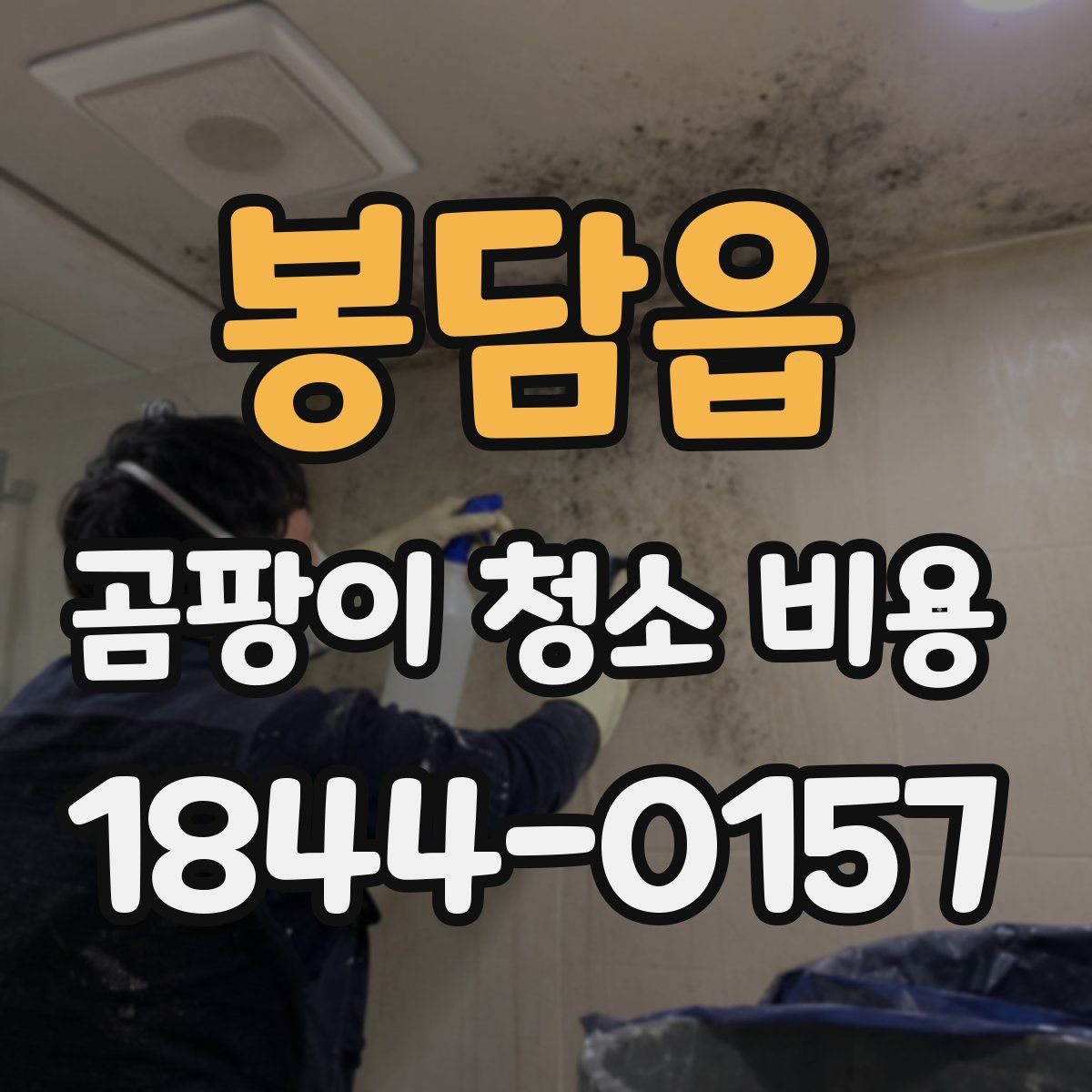 봉담읍 곰팡이 청소 비용