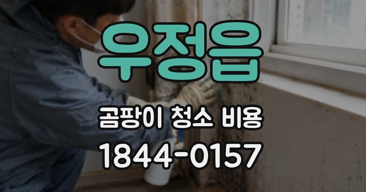 우정읍 곰팡이 청소 비용