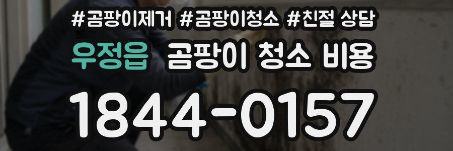 우정읍 곰팡이 청소 비용
