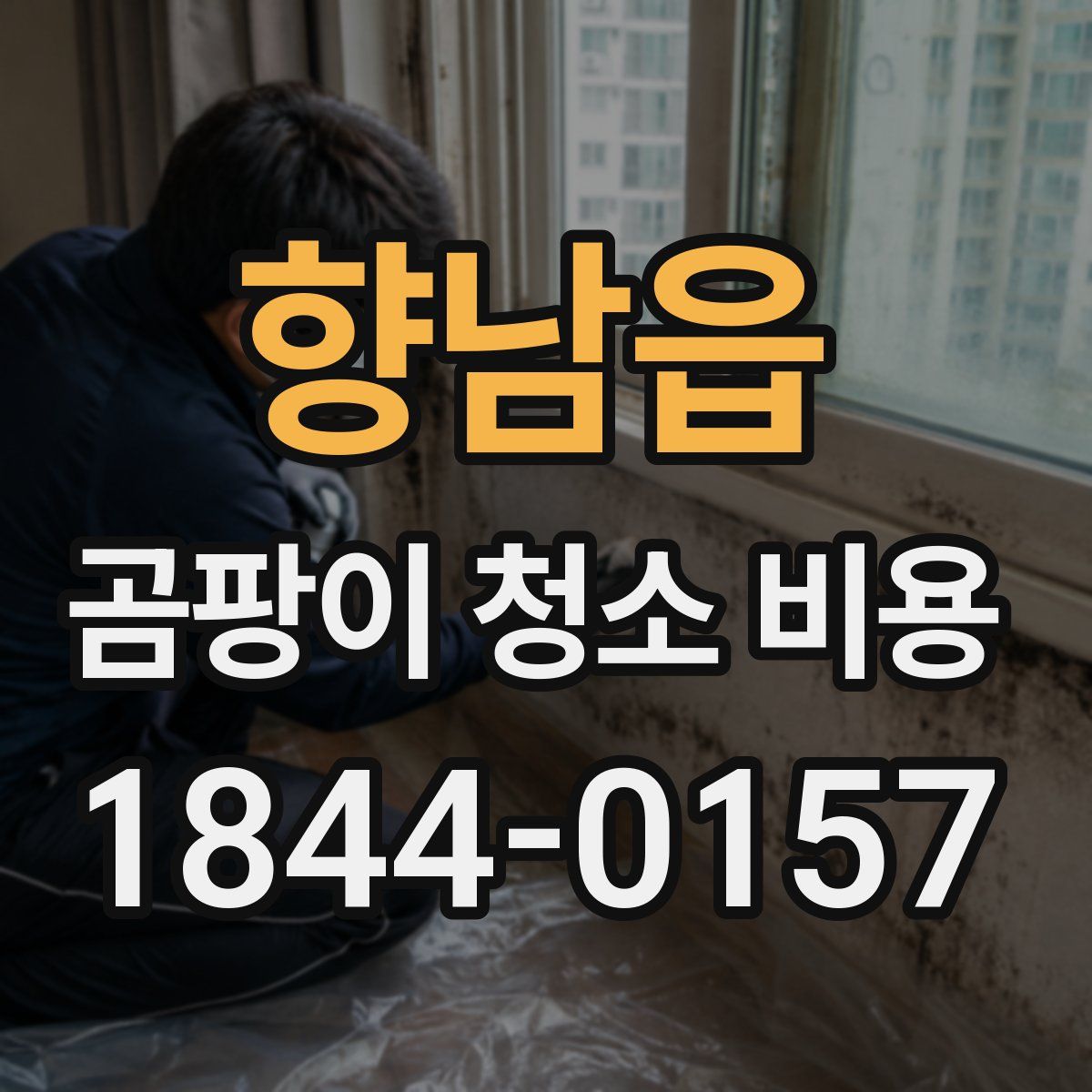 향남읍 곰팡이 청소 비용