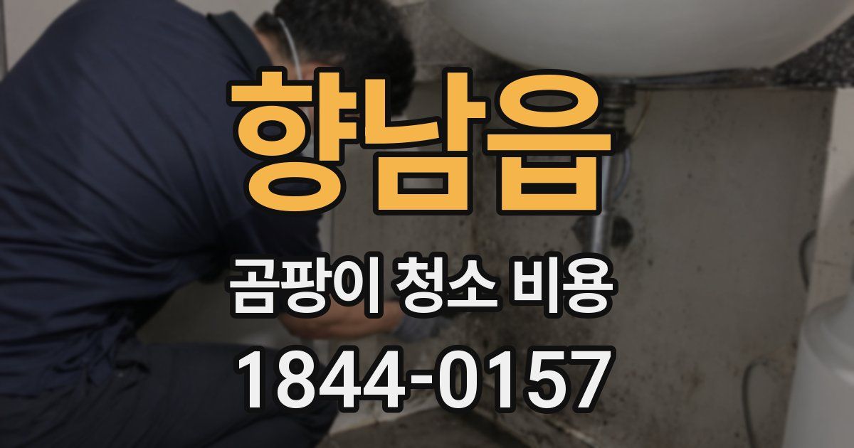향남읍 곰팡이 청소 비용