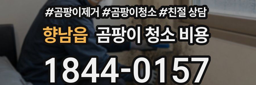 향남읍 곰팡이 청소 비용