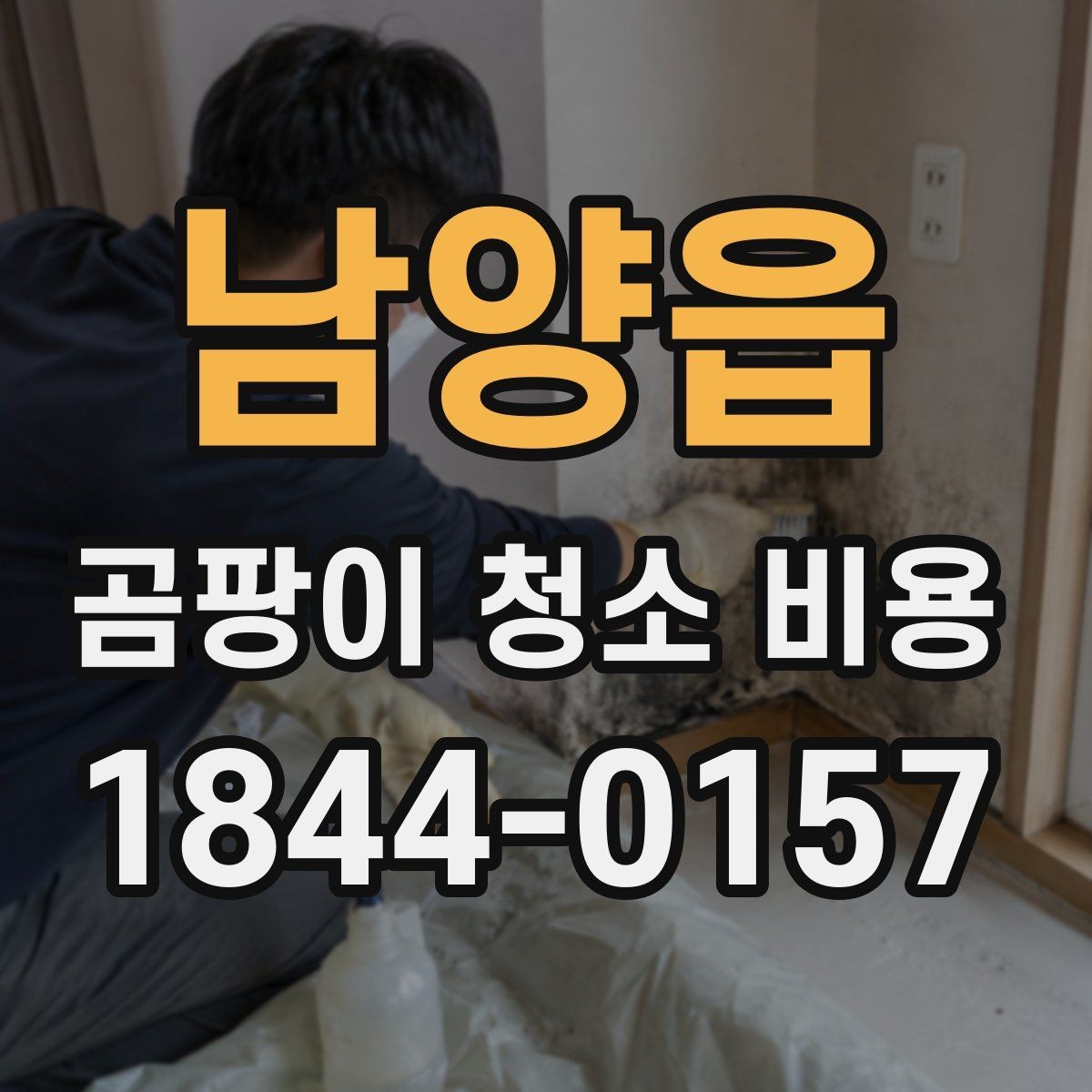 남양읍 곰팡이 청소 비용 절감을 위해 점검할 내용