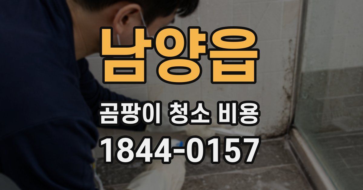 남양읍 곰팡이 청소 비용