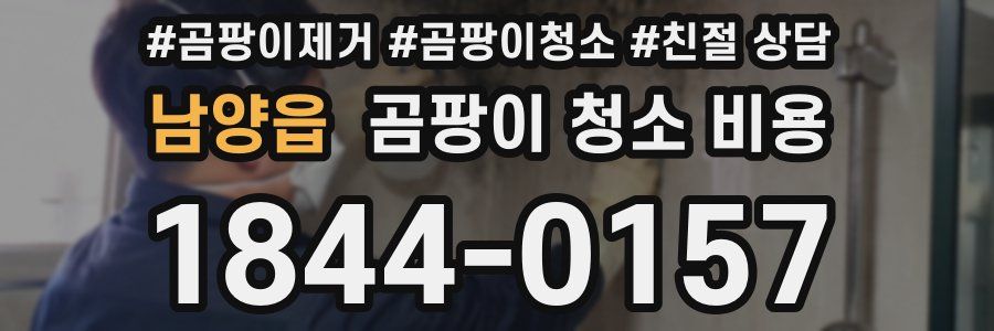 남양읍 곰팡이 청소 비용