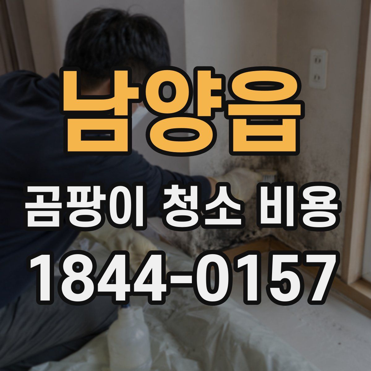 남양읍 곰팡이 청소 비용