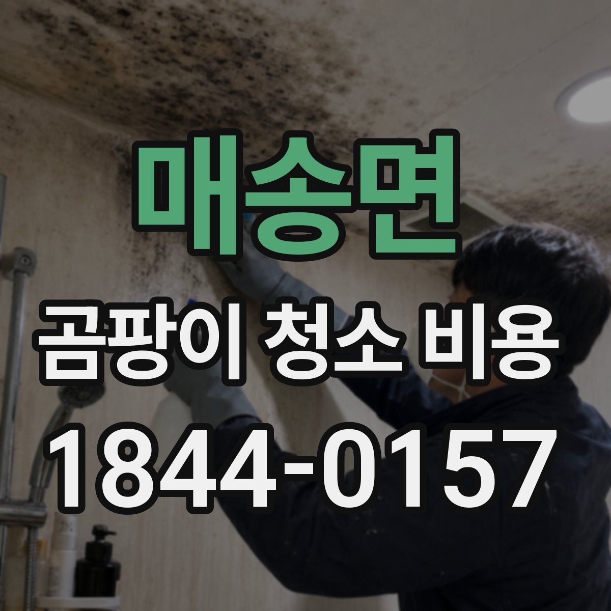 매송면 곰팡이 청소 비용 상담 시 비교해야 할 기준