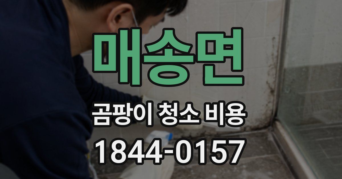매송면 곰팡이 청소 비용