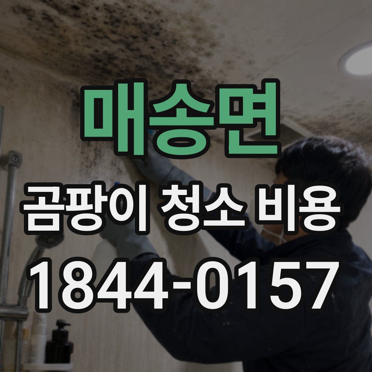 매송면 곰팡이 청소 비용