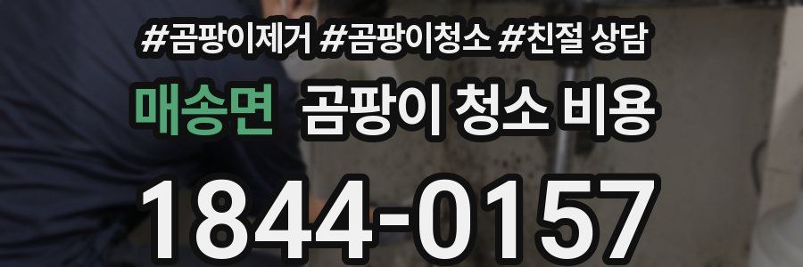 매송면 곰팡이 청소 비용