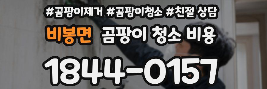 비봉면 곰팡이 청소 비용