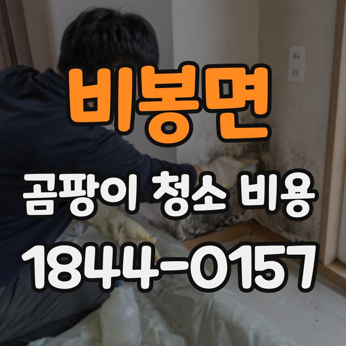 비봉면 곰팡이 청소 비용