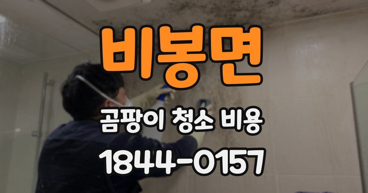 비봉면 곰팡이 청소 비용