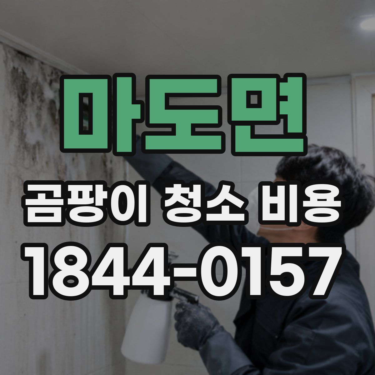 마도면 곰팡이 청소 비용