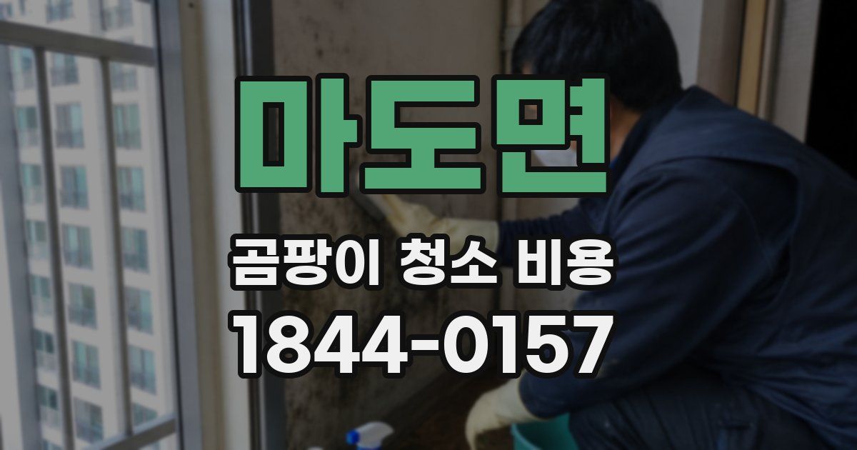 마도면 곰팡이 청소 비용