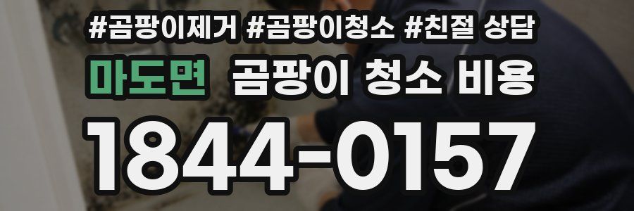 마도면 곰팡이 청소 비용