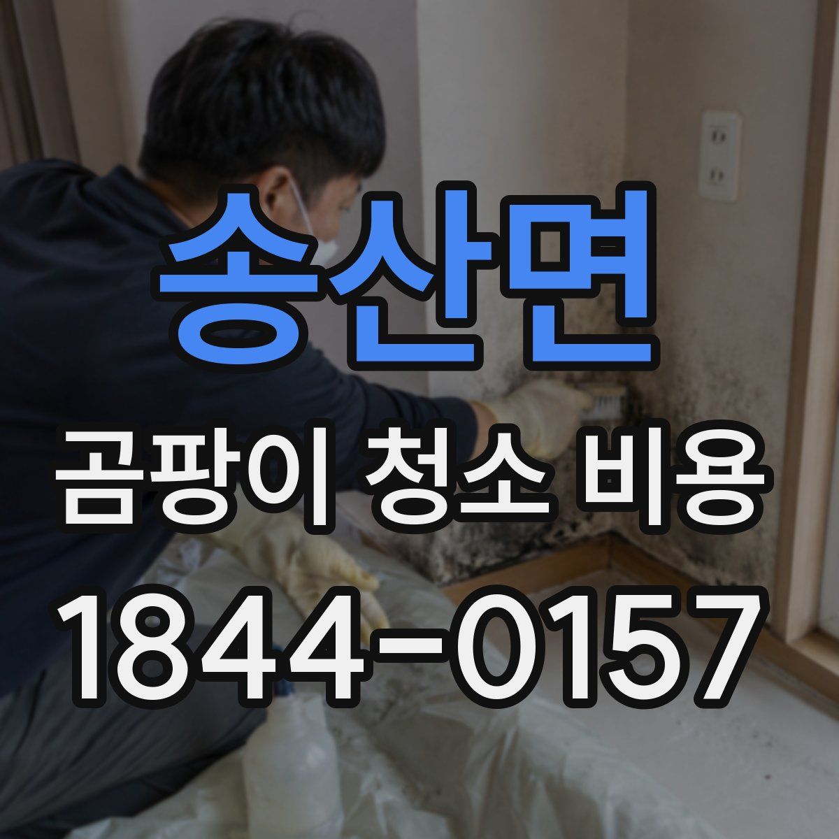 송산면 곰팡이 청소 비용