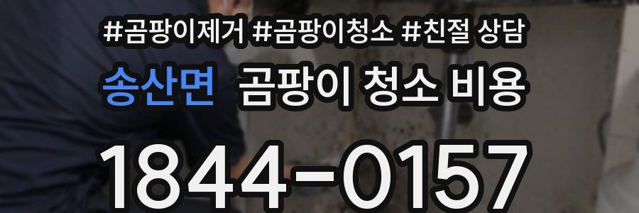 송산면 곰팡이 청소 비용