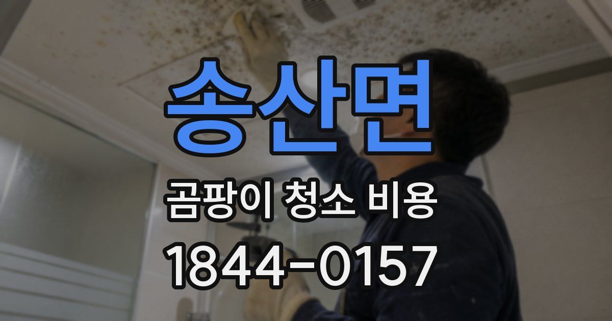 송산면 곰팡이 청소 비용