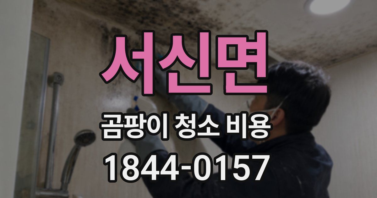 서신면 곰팡이 청소 비용