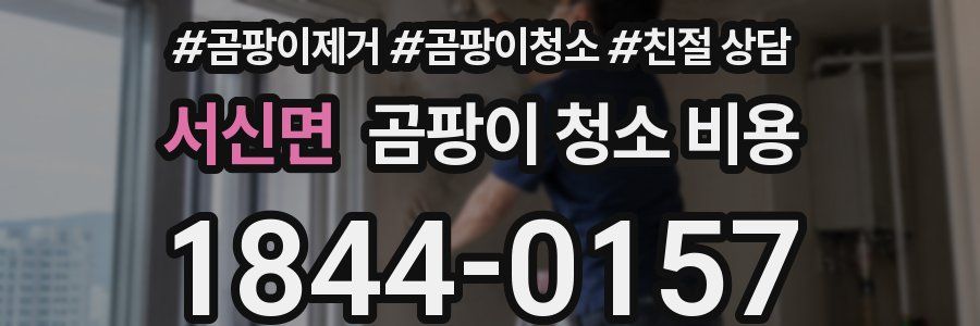 서신면 곰팡이 청소 비용