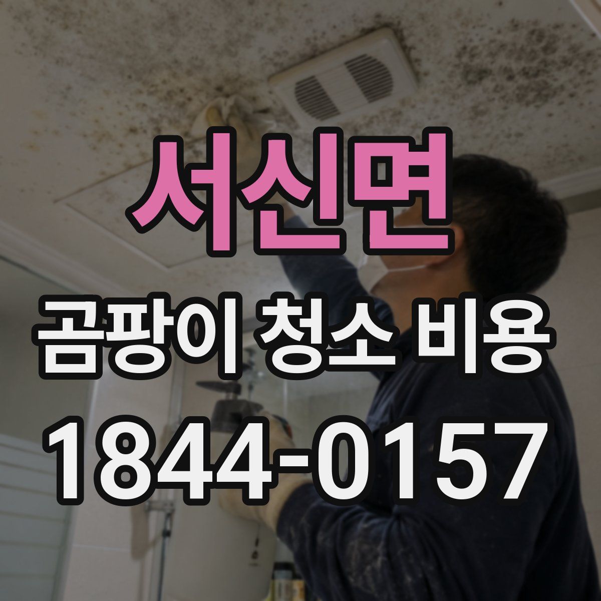 서신면 곰팡이 청소 비용