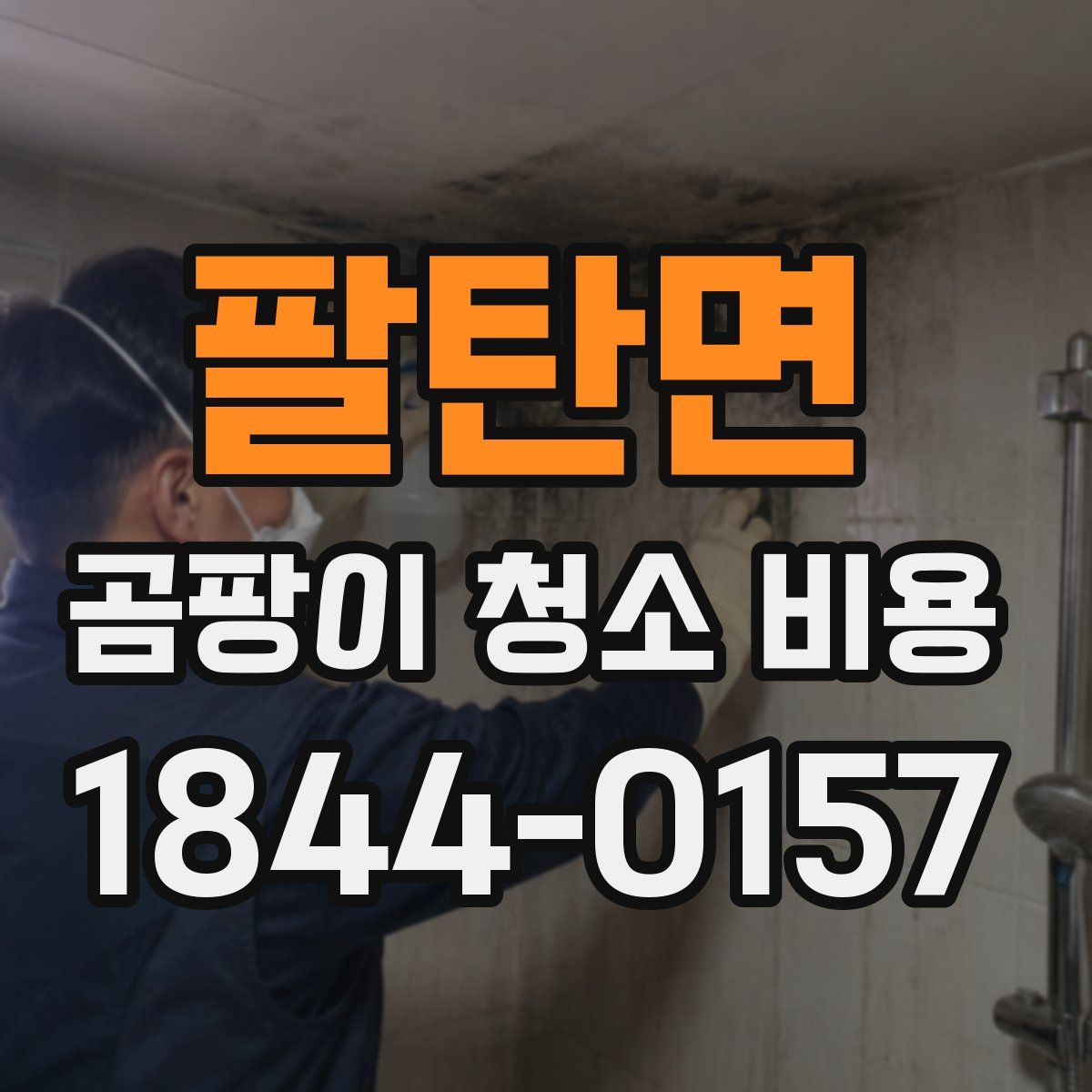 팔탄면 곰팡이 청소 비용
