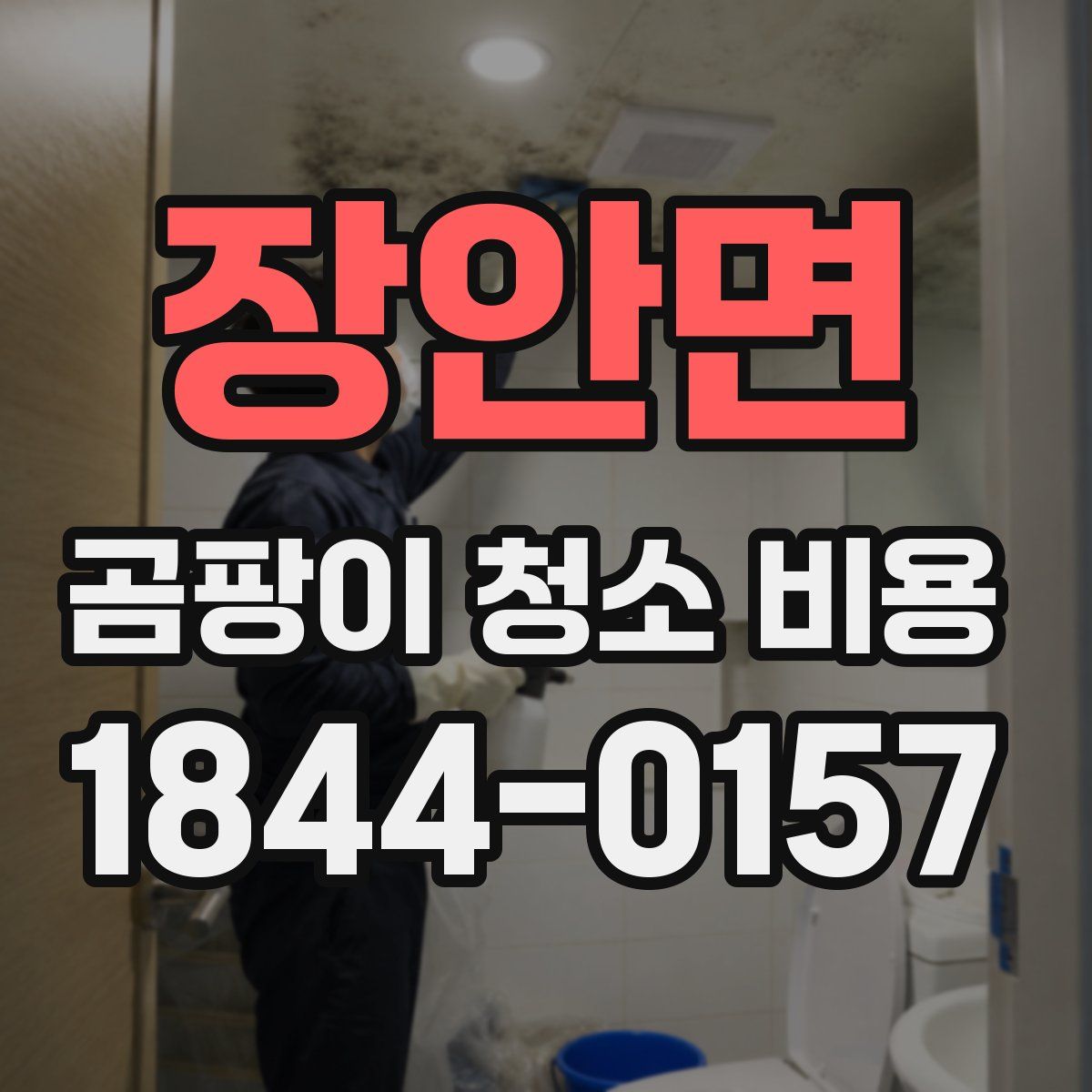장안면 곰팡이 청소 비용