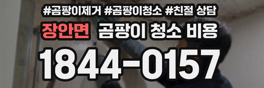 장안면 곰팡이 청소 비용
