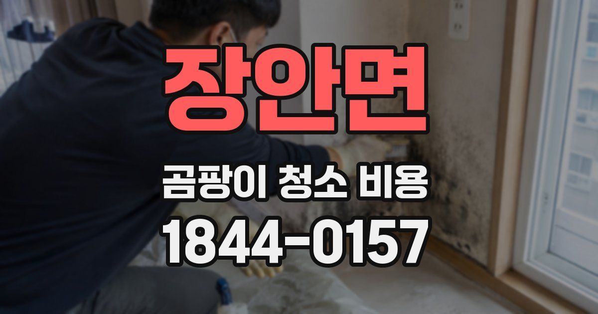 장안면 곰팡이 청소 비용