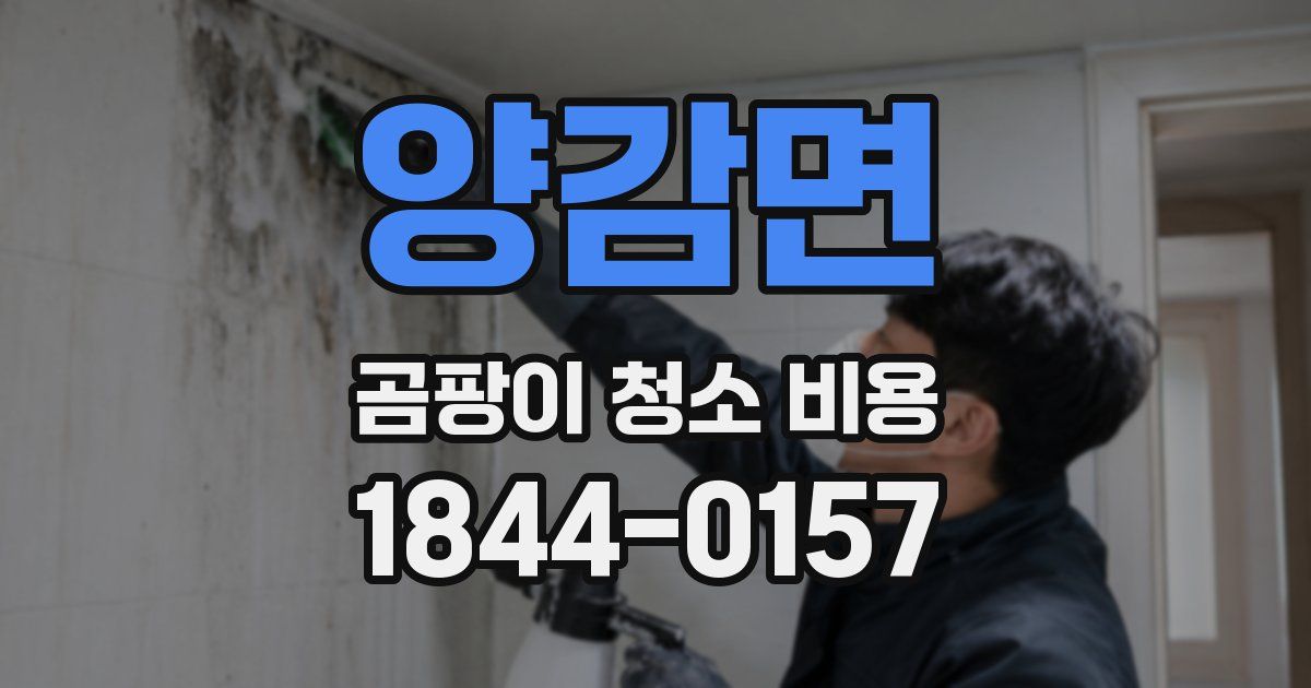 양감면 곰팡이 청소 비용