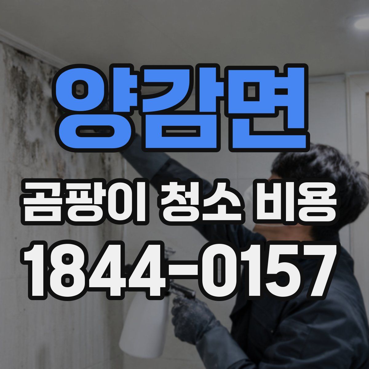양감면 곰팡이 청소 비용