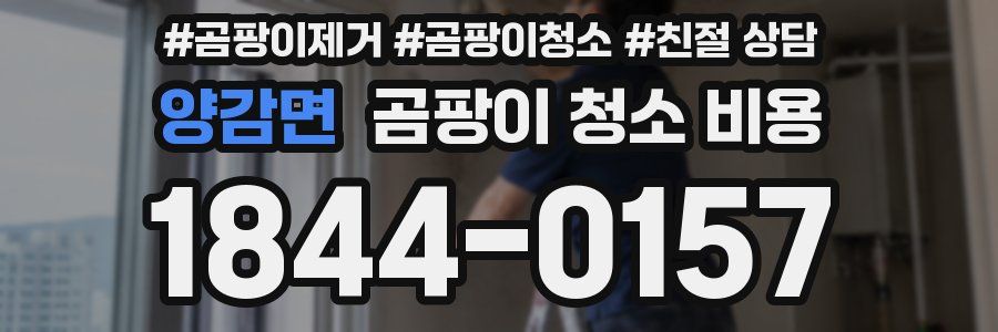 양감면 곰팡이 청소 비용