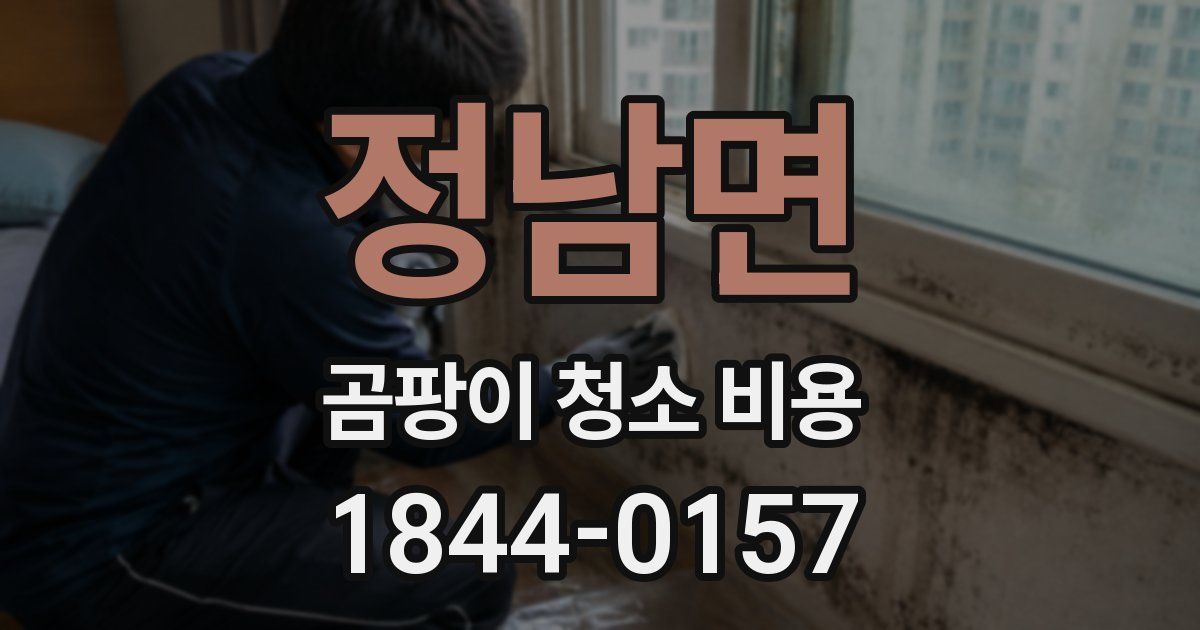 정남면 곰팡이 청소 비용