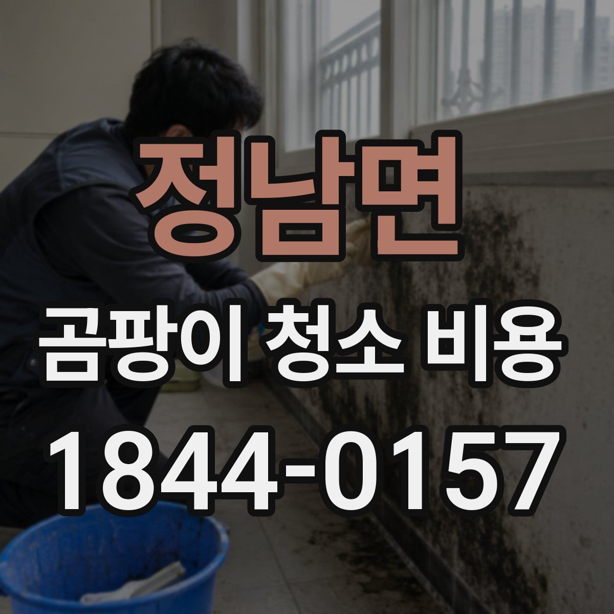 정남면 곰팡이 청소 비용