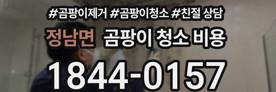 정남면 곰팡이 청소 비용