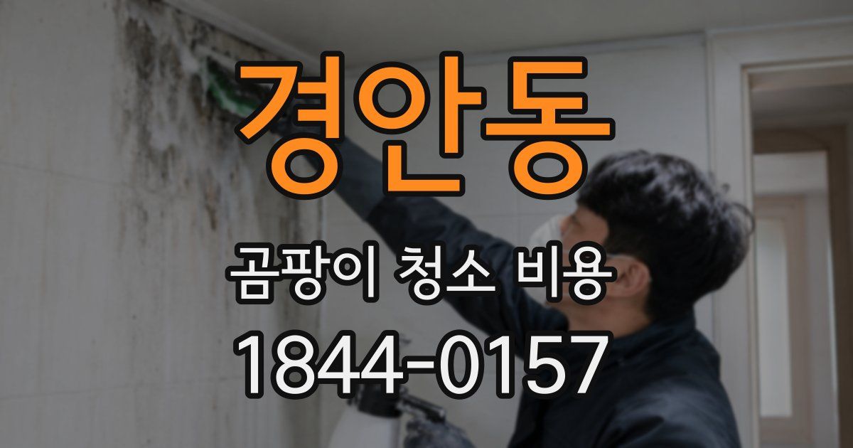 경안동 곰팡이 청소 비용