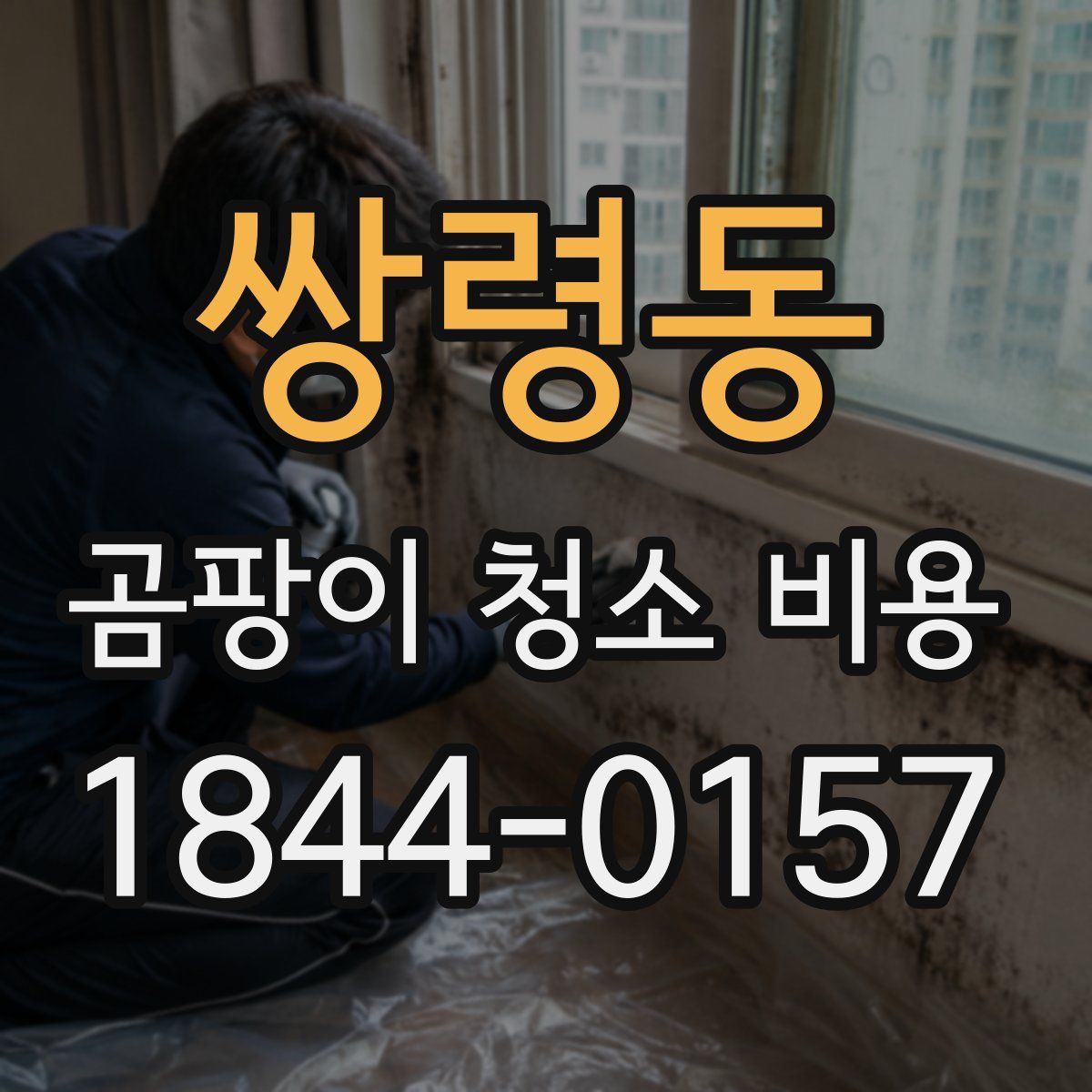 쌍령동 곰팡이 청소 비용
