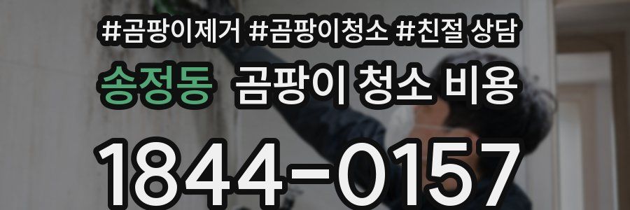 송정동 곰팡이 청소 비용
