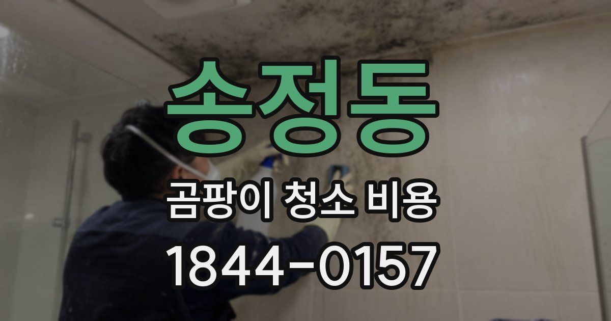 송정동 곰팡이 청소 비용