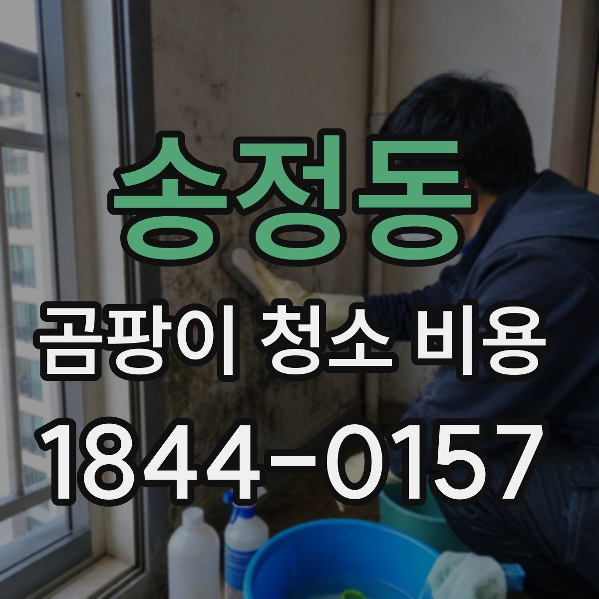송정동 곰팡이 청소 비용