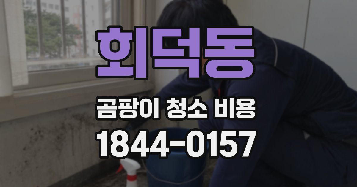 회덕동 곰팡이 청소 비용