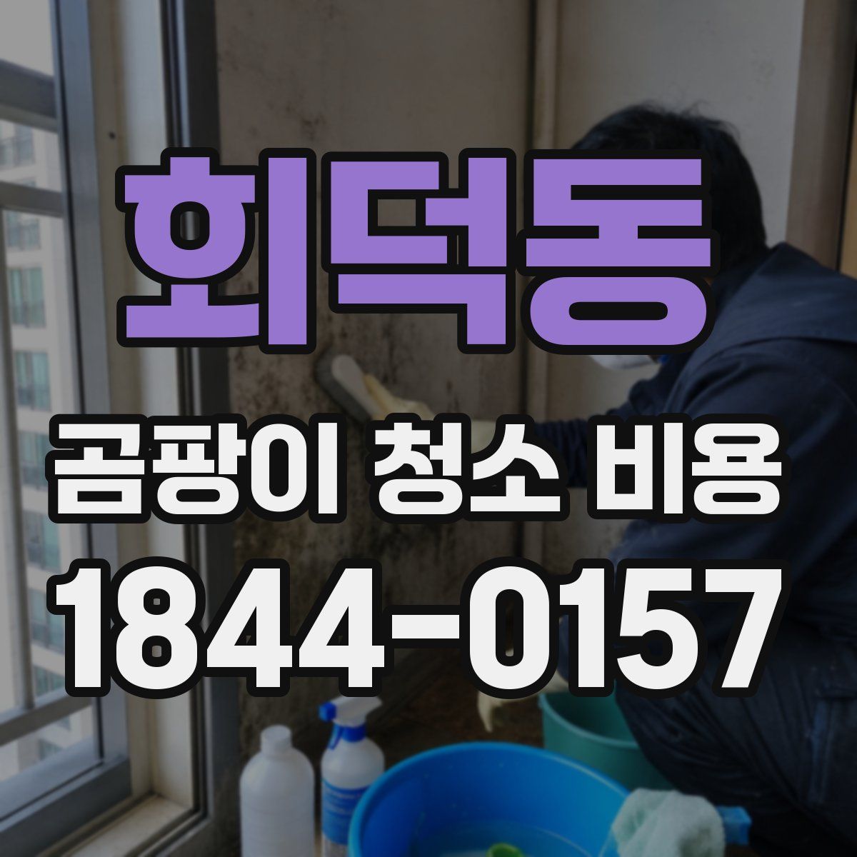회덕동 곰팡이 청소 비용