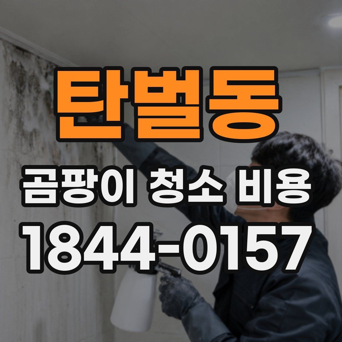 탄벌동 곰팡이 청소 비용 상담 후 결정까지의 흐름