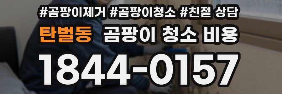 탄벌동 곰팡이 청소 비용
