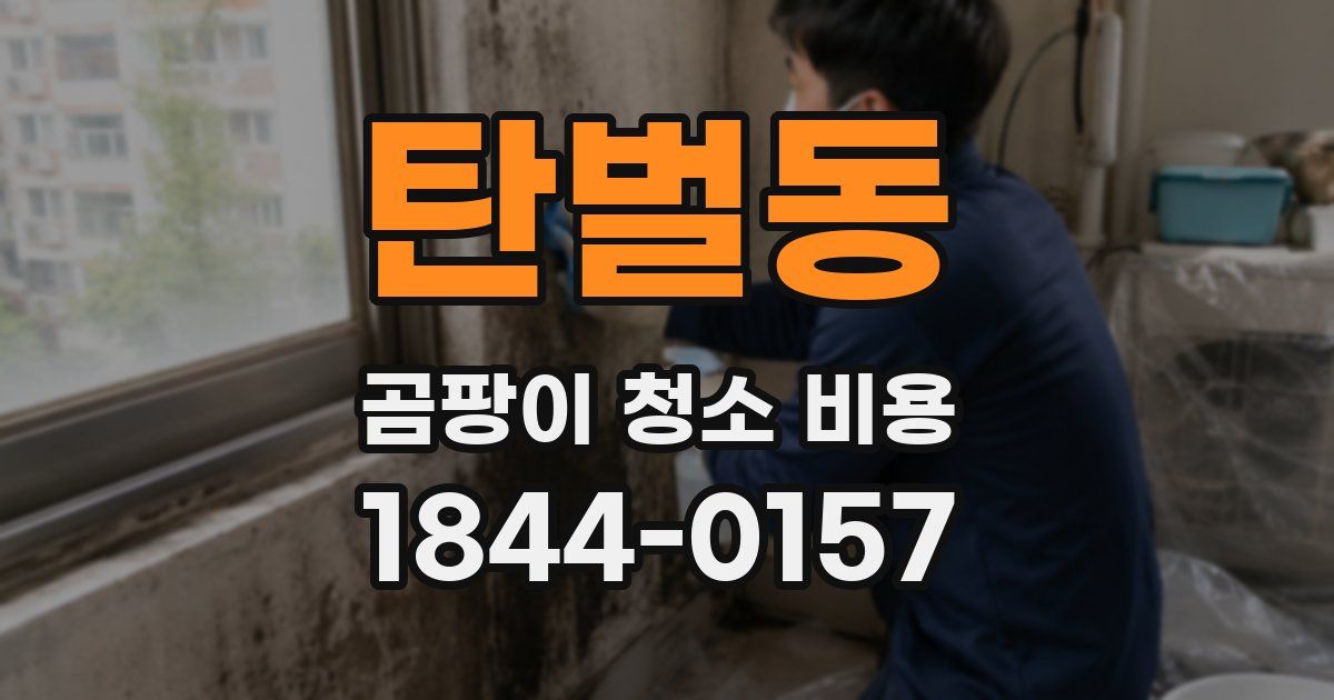 탄벌동 곰팡이 청소 비용