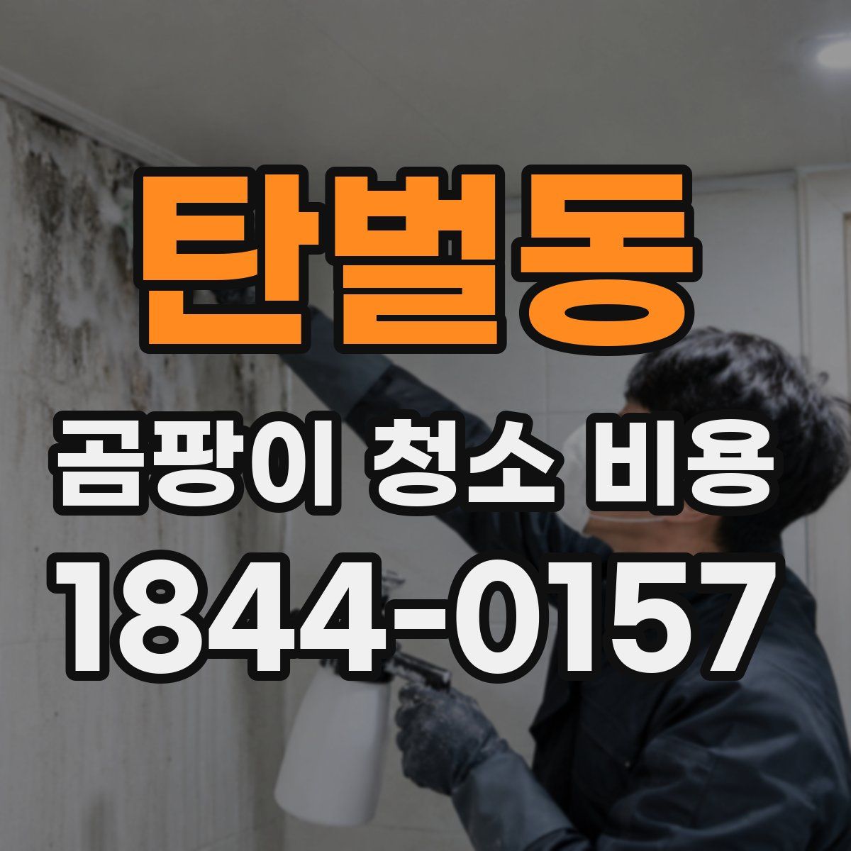 탄벌동 곰팡이 청소 비용