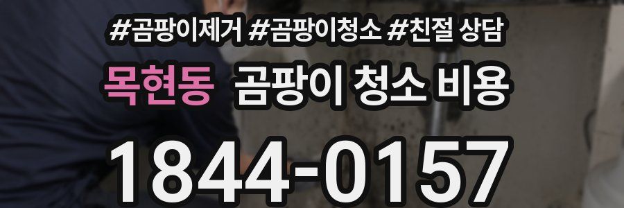 목현동 곰팡이 청소 비용
