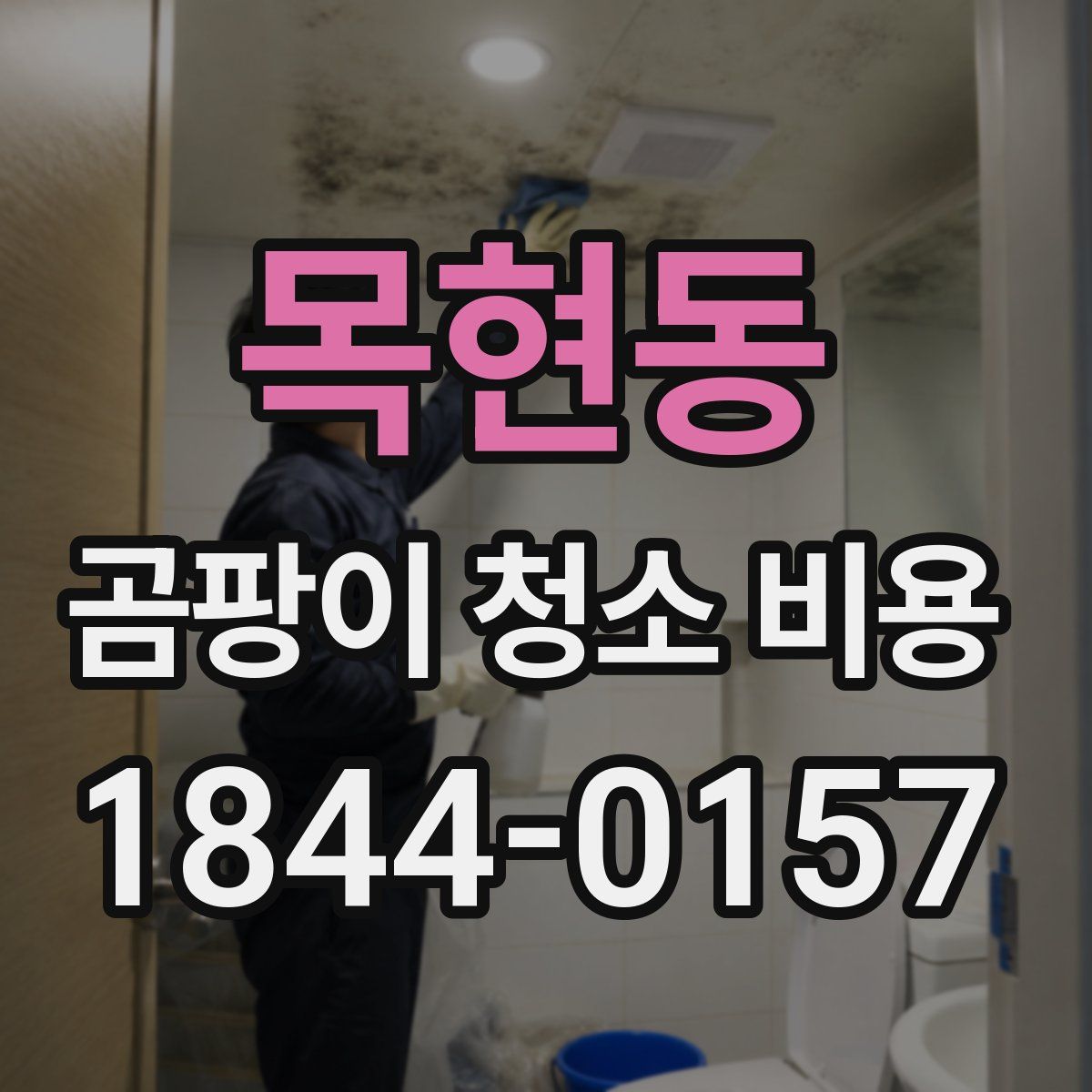 목현동 곰팡이 청소 비용