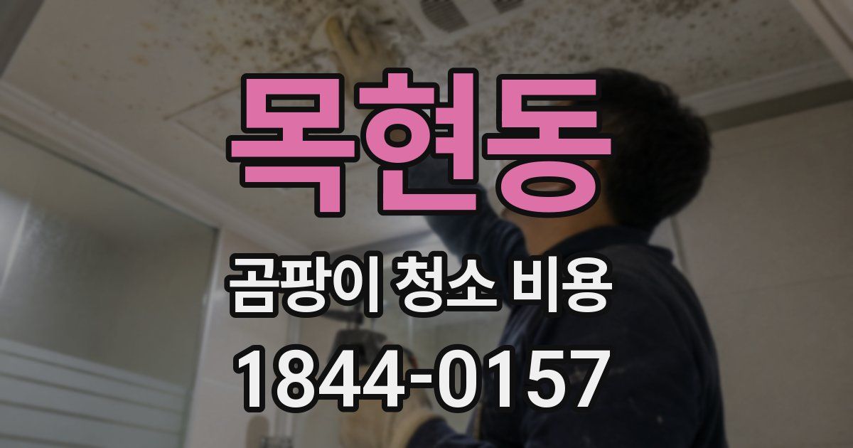 목현동 곰팡이 청소 비용
